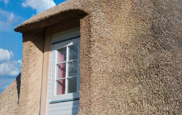 Thirtleby thatch roof disadvantages